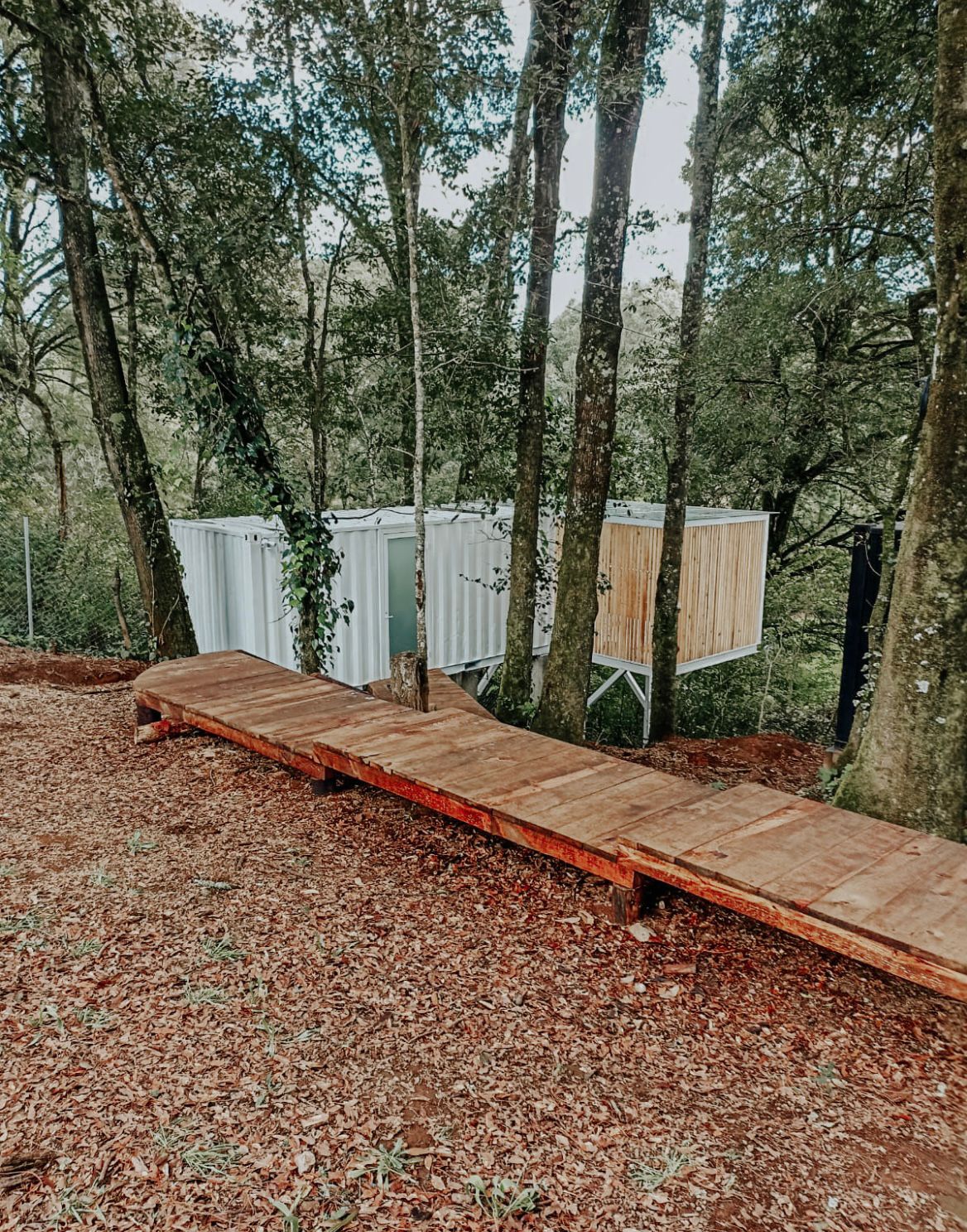 WhatsApp Image 2023-08-23 at 16.54.06 (4)