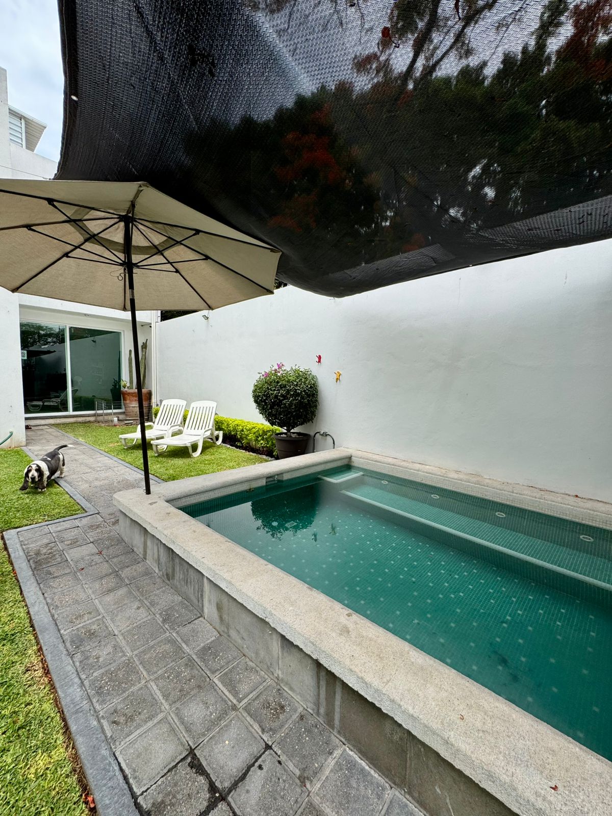 WhatsApp Image 2025-05-25 at 14.00.15 (5)