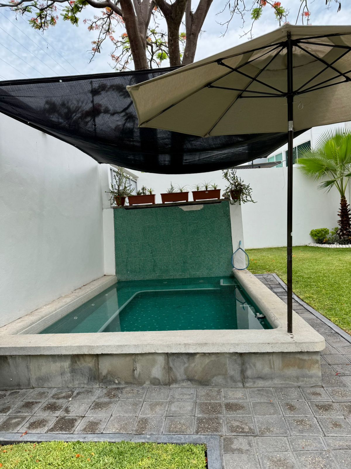 WhatsApp Image 2025-05-25 at 14.00.15 (6)